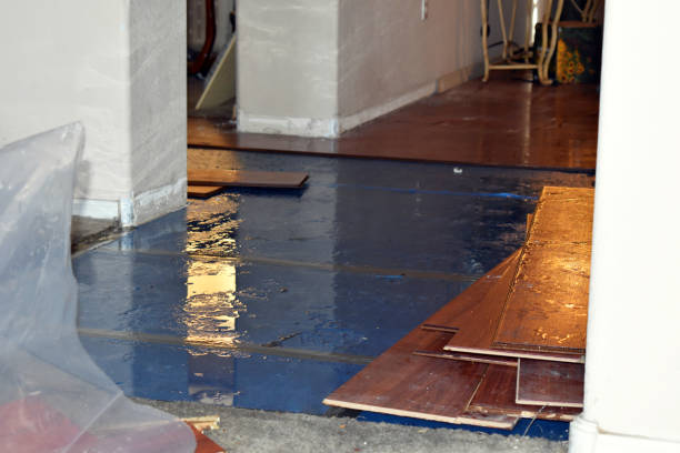 Professional Basement Flood Cleanup technician working in Wapakoneta, OH